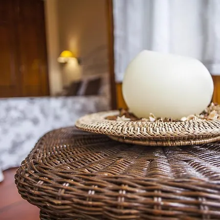 酒店 La Boriza 安德里恩