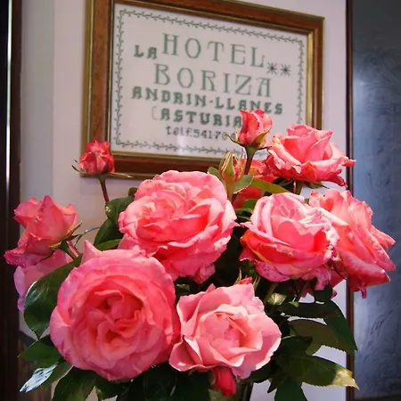 La Boriza 3*