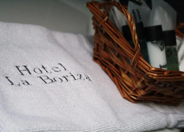 Hotel La Boriza Andrín